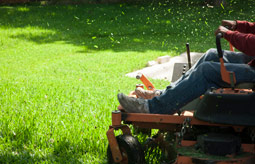 Our expert advise is rooted in our start in the lawncare business